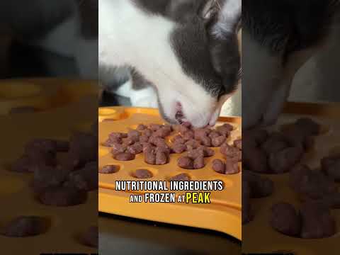 A Kibble Alternative | Two Crazy Cat Ladies #cats #catfood