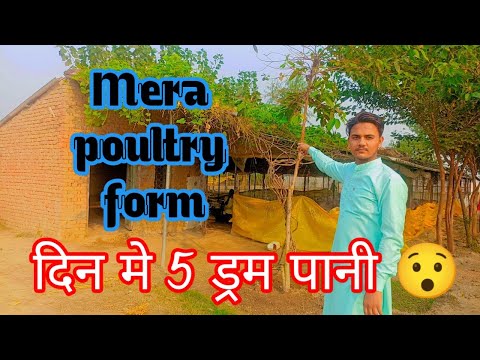 My new vlog | mera poultry form | poultry feeds | vlog 01 | #poultry #poultryfarming #viral