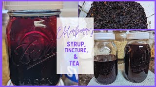 How to Make Elderberry Syrup, Tincture, and Tea