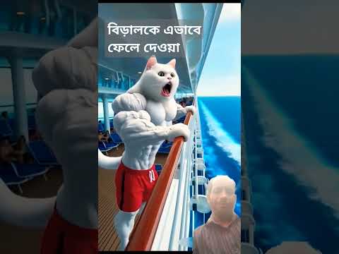 বিড়ালকে এভাবে ফেলে দেওয়া ঠিক না #motivation #video #funny