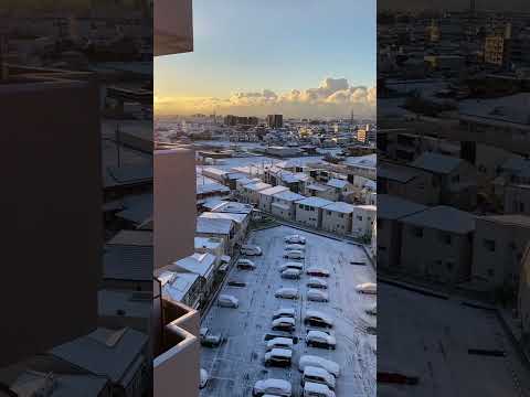 雪積もるとか何十年ぶり！？#雪 #積雪 #自宅療養