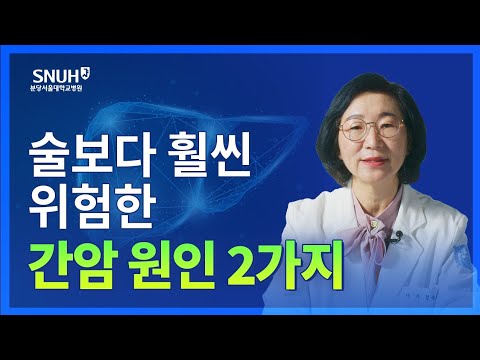 술보다 훨씬 위험한 간암 원인이? 절주보다 더 필요한 간암 예방의 열쇠! [숫자로 보는 건강]