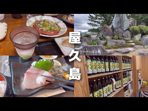 【屋久島旅行】縄文杉トレッキング前日なのに飲み過ぎた / vlog /