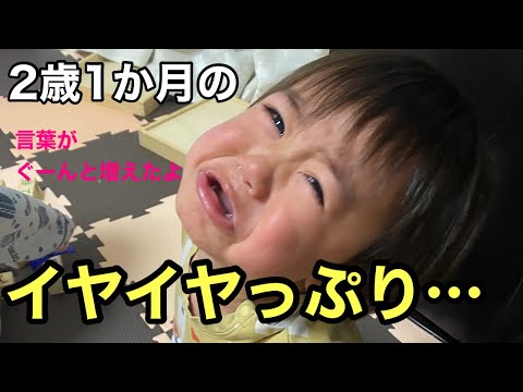 【２歳】最強イヤイヤ期の２歳１か月になったおうすけ君【親バカ動画】