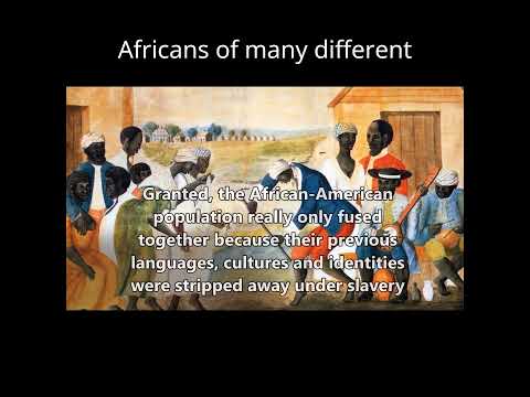 New Ethnic Groups Forming in America #USA #Demographics #Ethnicity #History