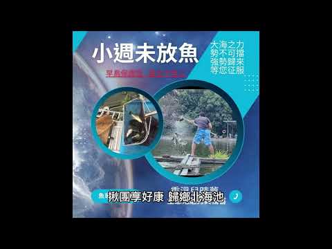 巨怪魚王池  明星雲集場好水養好魚  斷線又飛竿