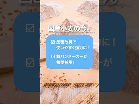 国産小麦が増えたワケ。