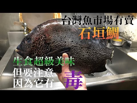 【喜歡吃日本料理的人必須要看】非常好吃的石垣鯛　其實有毒　中毒症狀出來的話很危險　魚的特性理解的話別擔心