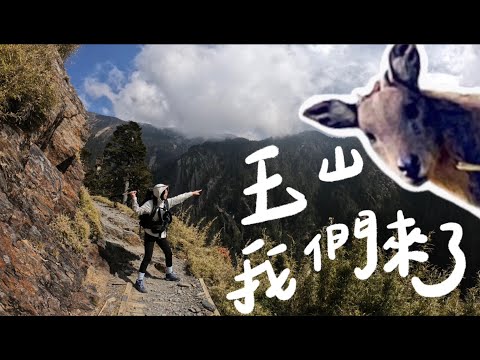 玉山主峰｜台灣人必做三件事｜長鬃山羊好可愛｜台灣最高｜排雲山莊好難抽｜適合新手嗎｜我的第一座百岳｜7na Hiking