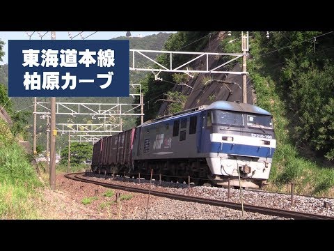 東海道本線「柏原カーブ」を行く貨物列車　2019.05