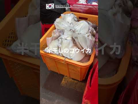 韓国🇰🇷ソウル  常に大行列ソウル中央市場の銘店❕半干しの絶品コウイカ #korea #food #koreafood #옥경이네 #건생선 #seoul #travel