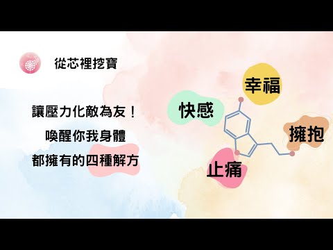 Ep.259【從芯裡挖寶】讓壓力化敵為友！喚醒你我身體都擁有的四種解藥