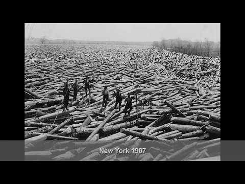 Amazing Rare Photos of Logging at the Turn of the Century - EveryDay History