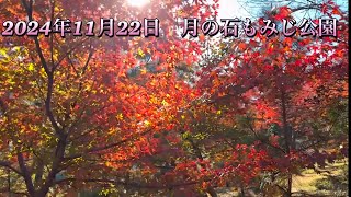 4K  🍁　月の石もみじ公園　埼玉県　長瀞紅葉まつり　2024年11月22日　🍁　Moonstone Momiji Park  🍁