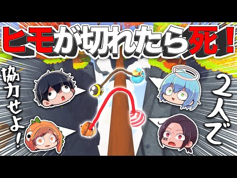 ２人の相性が分かるゲーム！一緒に進める？【フリング・トゥ・ザ・フィニッシュ Fling to the Finish】