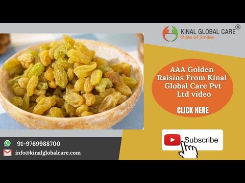 AAA Golden Raisins From Kinal Global Care Pvt Ltd