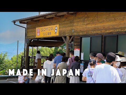 【パーラータマコ】Busiest cafe in Nara surrounded by nature. long que everyday!!!