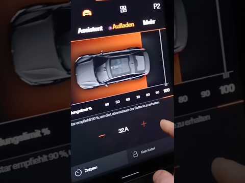 Assistenz Systeme, Aufladen & Mehr | Polestar 2 Performance