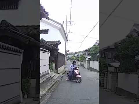 外国人と正面衝突  #左側通行 #automobile #正面衝突