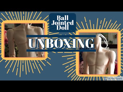 UNBOXING: 1/4 Male Body