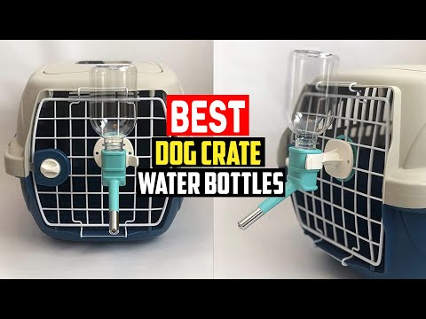 ✅Top 5 Best Dog Crate Water Bottles in 2023