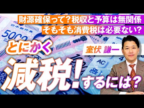 とにかく減税するには？財源確保って？税収と予算は無関係！室伏謙一【赤坂ニュース210】参政党