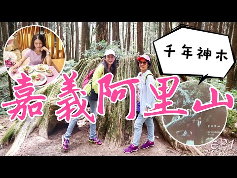 丁小羽帶你遊嘉義！來一趟慢活的阿里山二日遊，走訪阿里山森林遊樂區、欣賞阿里山神木、入住阿里山賓館！