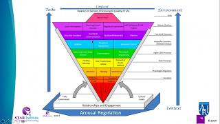 Sensory Processing and ASD