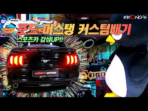 [꽁스모터스] 근육맨을 연상케하는 머스탱의 커스텀배기ㅣ포드 머스탱 2.3 에코부스트ㅣ커스텀배기+머플러팁