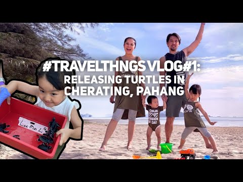 #travelthngs Vlog#1: Releasing Turtles in Cherating, Pahang