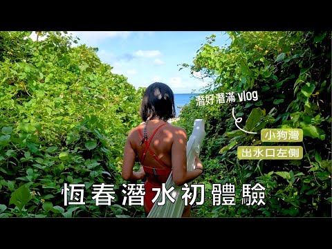 後壁湖潛水初體驗！生態超好的出水口左側｜小狗灣叢林?｜海龜咖啡｜阿飛衝浪旅店｜鈕扣倉庫