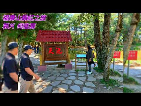 109/11/25 福壽山楓紅之旅（一）