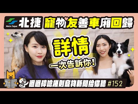 EP. 152北捷寵物友善車廂回歸 詳情一次告訴你｜毛爸媽碎碎唸