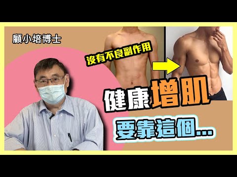 增肌肉 | 顧小培博士講解如何健康增肌的秘訣