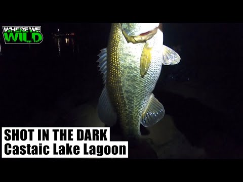 SHOT IN THE DARK - Castaic Lake Lagoon Fishing