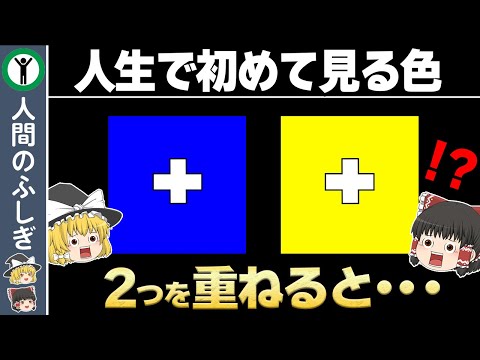 【楽しすぎ】存在しないあり得ない色　～色の雑学～【ゆっくり解説】