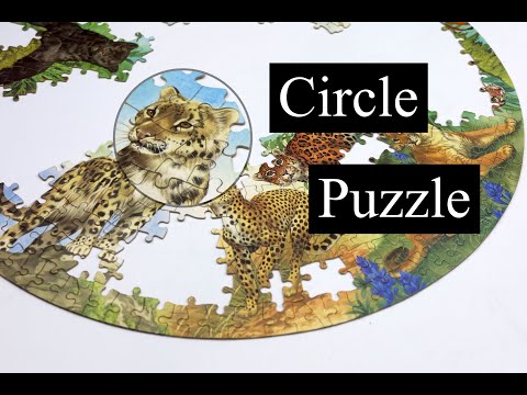 My First Circle Jigsaw Puzzle - Big Cats from Waddingtons