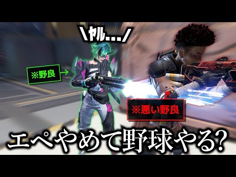 悪い野良をボールにして遊ぶ可愛い野良さん【APEX】