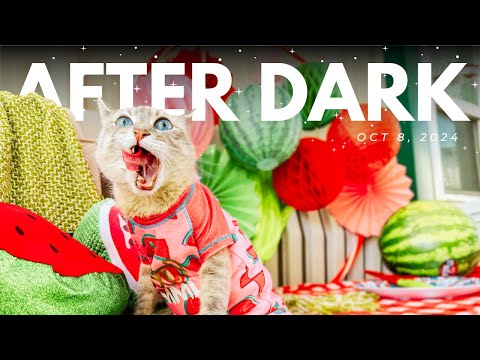 The Cattery AFTER DARK! Oct 8 |  Robbie Co-host