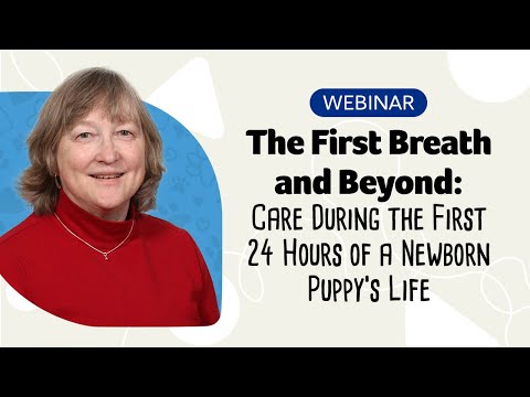 Newborn Puppy Care: The First Breath and Beyond Webinar