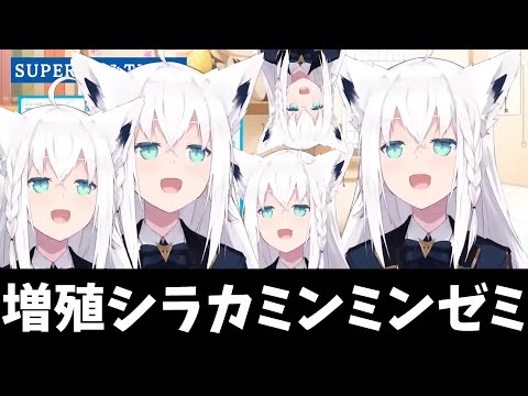 【恐怖】増殖した(シラカミンミンゼミ)【切り抜き/白上フブキ】