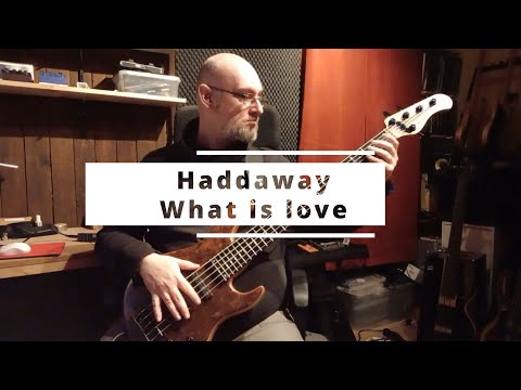 275 Haddaway What is love bass cover