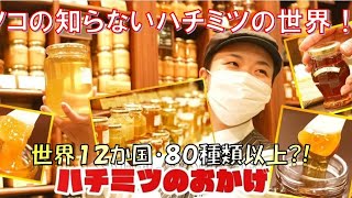 はちみつの世界！こんなはちみつ食べたことない！なんと80種類以上！【デパチャン】