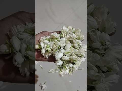 #garland #flowers #jasmin #youtubeshorts #trending #viral #shorts #vlog #beautiful #video #homemade