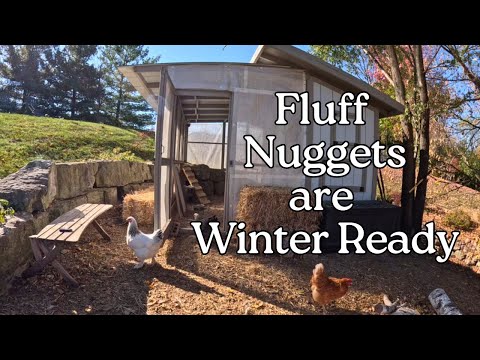 How we winterized our Wisconsin Chicken Coop