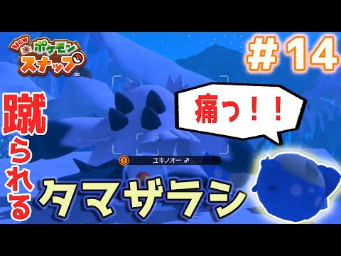 【Newポケモンスナップ実況】#14　蹴とばされるタマザラシ