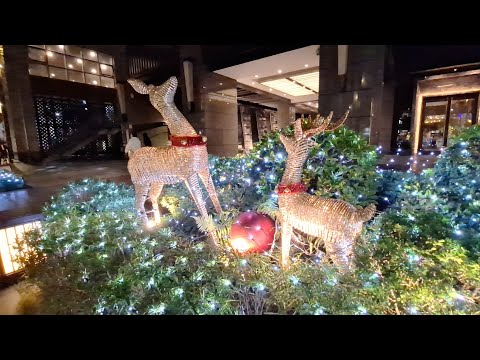 Cesar Park Christmas light display New Taipie City Taiwan