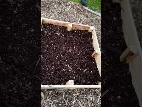 DIY raised garden be with repurposed wood pallets #sustainablefarming #repurpose #urbanfarm