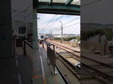 中国大連の新交通システム的な電車