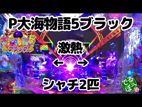 12月27日28日　パチンコ実践　P大海物語5ブラック　年末に無駄に勝負しに行きました　結果は？　シャチ2匹出たら…